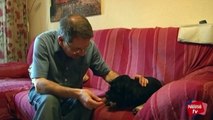 Cómo detectar problemas de salud en tu perro - Mascotas Nestlé TV