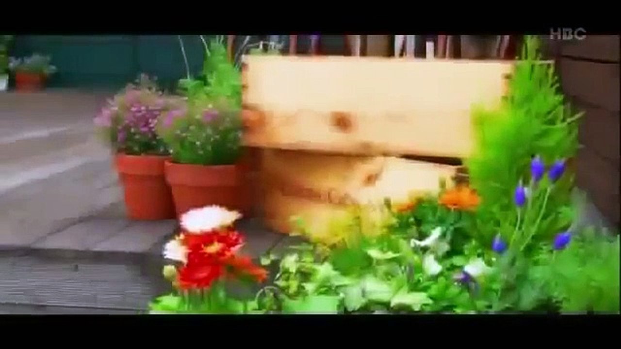 Japanese cuisine マイブームクッキング シーズン1 #11