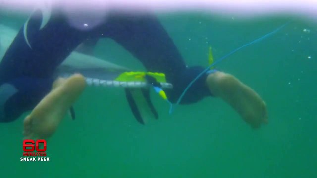 Mick Fanning vê tubarão na Austrália