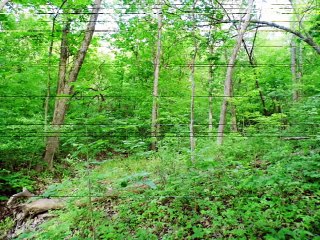 How Lovely Is Your Dwelling Place