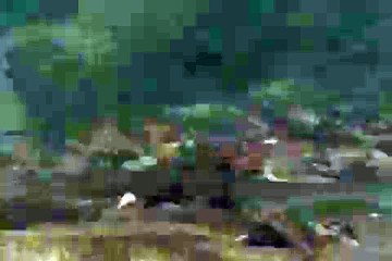 WWF- Tennessee River