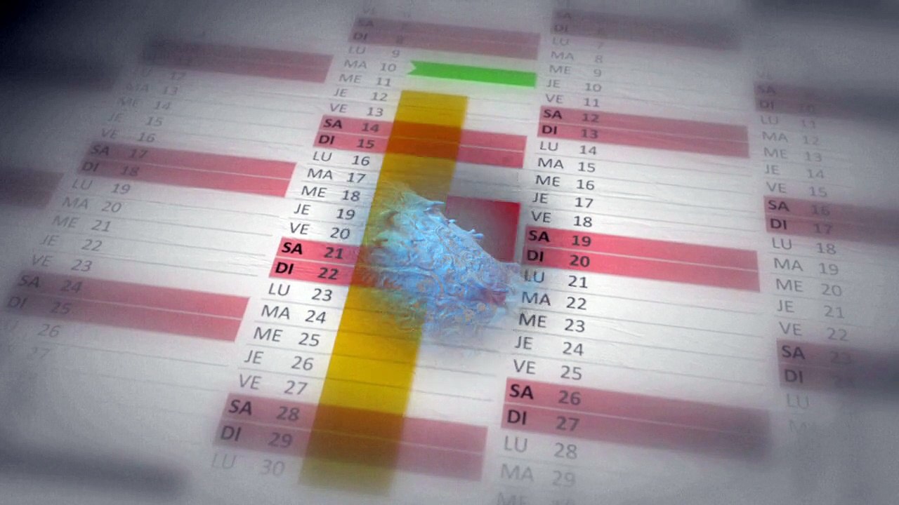 How Ebola attacks the body