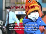 Gripe Influenza A H1N1 -3ra. actualización-