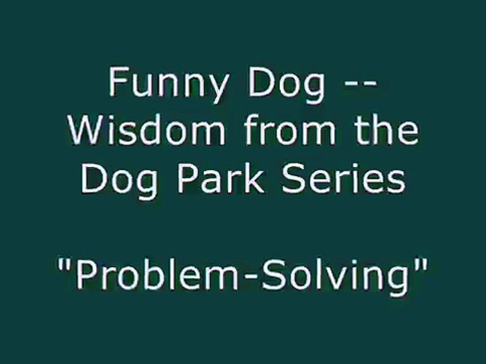 "Problem-Solving", Funny Dog -- Wisdom from the Dog Park Series