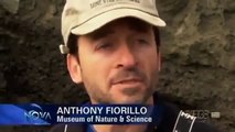 NOVA - ARCTIC DINOSAURS - Discovery Science History (full documentary)