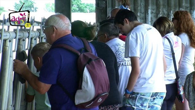 Brin de paille et espadrilles - Edition 2015