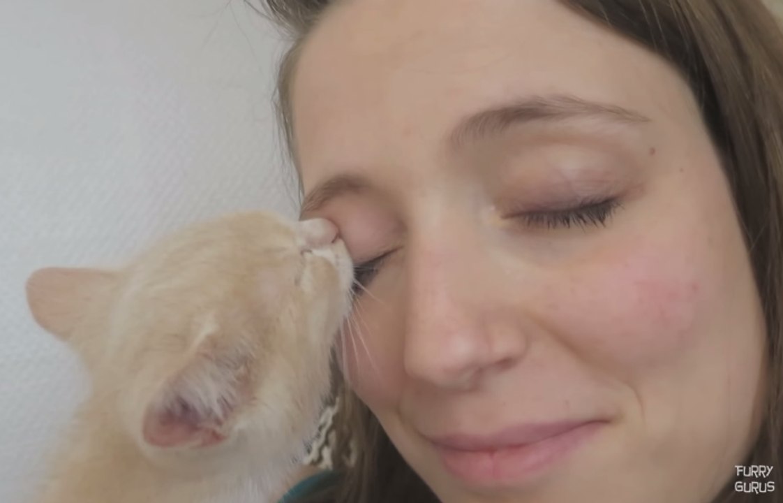 Kitten Tries to Drink Milk From Owner's Eye