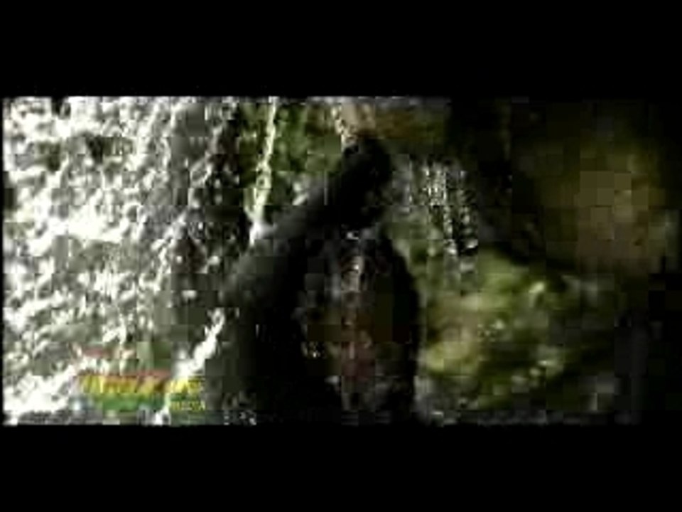 Turbulence & Sasha - Want A Natty - Regg