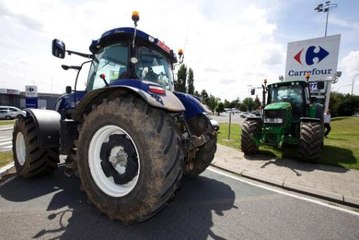 Réunion interprofessionnelle chez Comeos dans le but d'aider les agriculteurs en grosse difficulté