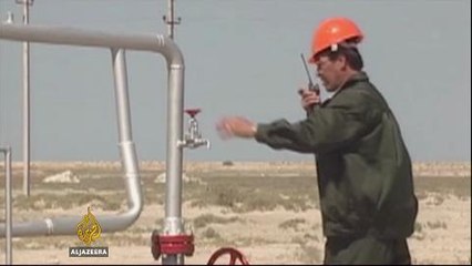 Kazakhstan seeks to bring 2022 Winter Olympics to Almaty