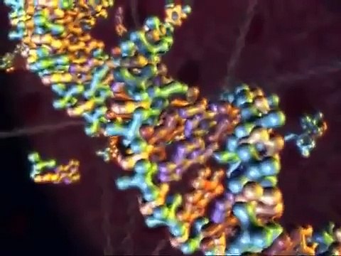 DNA Transcription and Protein Assembly By Dr Waqas Khan Jadoon