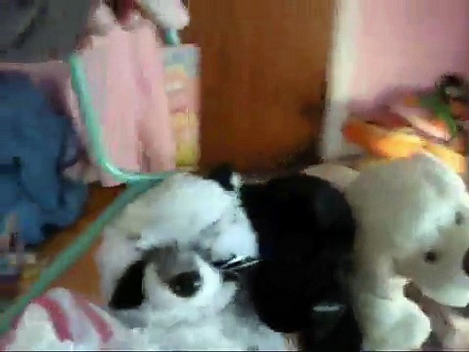 Webkinz Hanger Ride