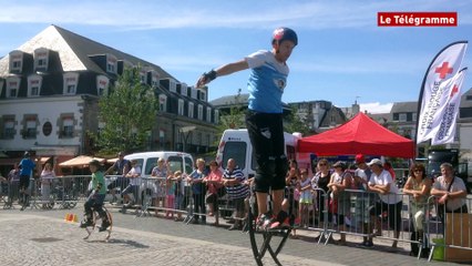 Concarneau. Sous le signe du Marsupilami