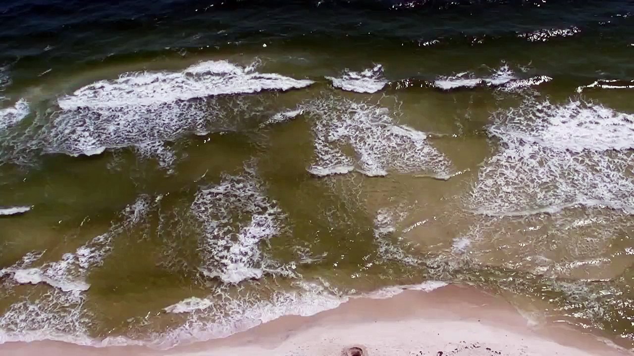 Panama City Beach Florida Ocean Waves in HD