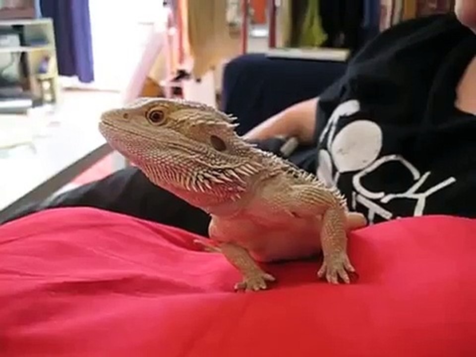 Åke