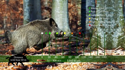 Wild Boar Fever 6 - trailer 2 - Hunters Video