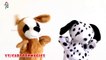 Alphabet Songs ABC Songs for Children - Funny Puppy Dog & Cute Dog puppets