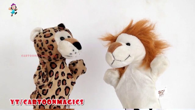 Alphabet Songs ABC Songs for Children - Funny Tiger - Lion puppets children rhymes Kids Songs