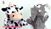 Alphabet Songs ABC Songs for Children - Funny Cattle cow Elephant puppets children rhymes Kids rhymes