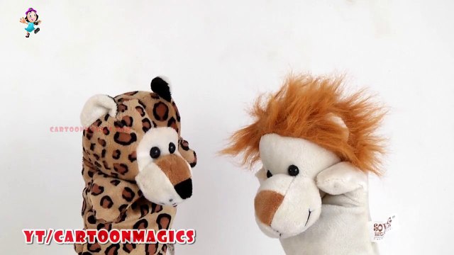 Baa Baa Black Sheep - Funny Tiger - Lion puppets children rhymes Kids Songs