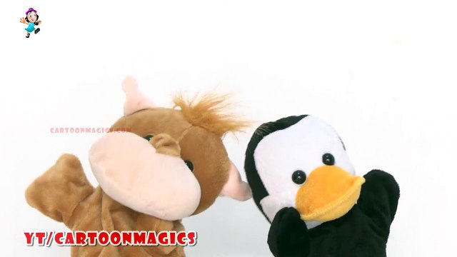 Baa Baa Black Sheep - Funny Hippopotamus and Penguin puppets children rhymes Learning English Kids Songs