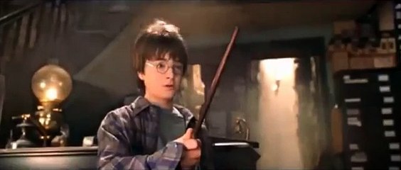 Harry Potter My Song Knows What You Did In The Dark (Light Em Up)