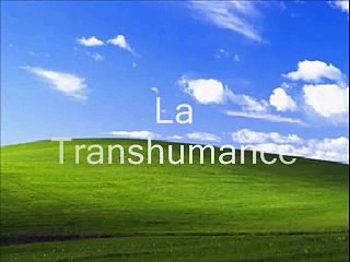 Sangria Gratuite "Transhumance"