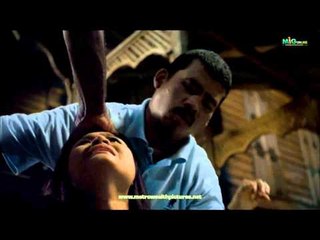 Paku Pontianak Terbaik - Nelydia Senrose