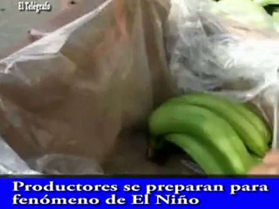 EL NIÑO