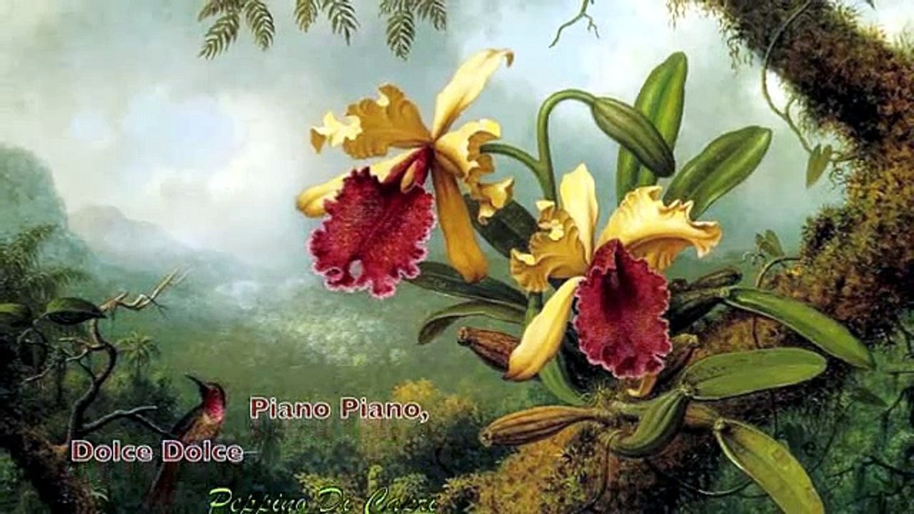 'Piano Piano, Dolce Dolce'     ( Peppino Di Cap...