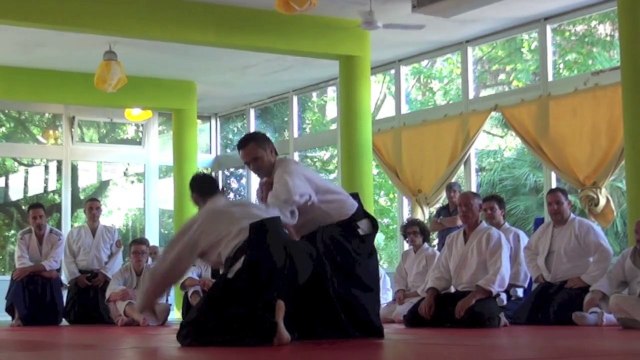 Destinations Aikido avec Michel Erb Sensei - Part 12