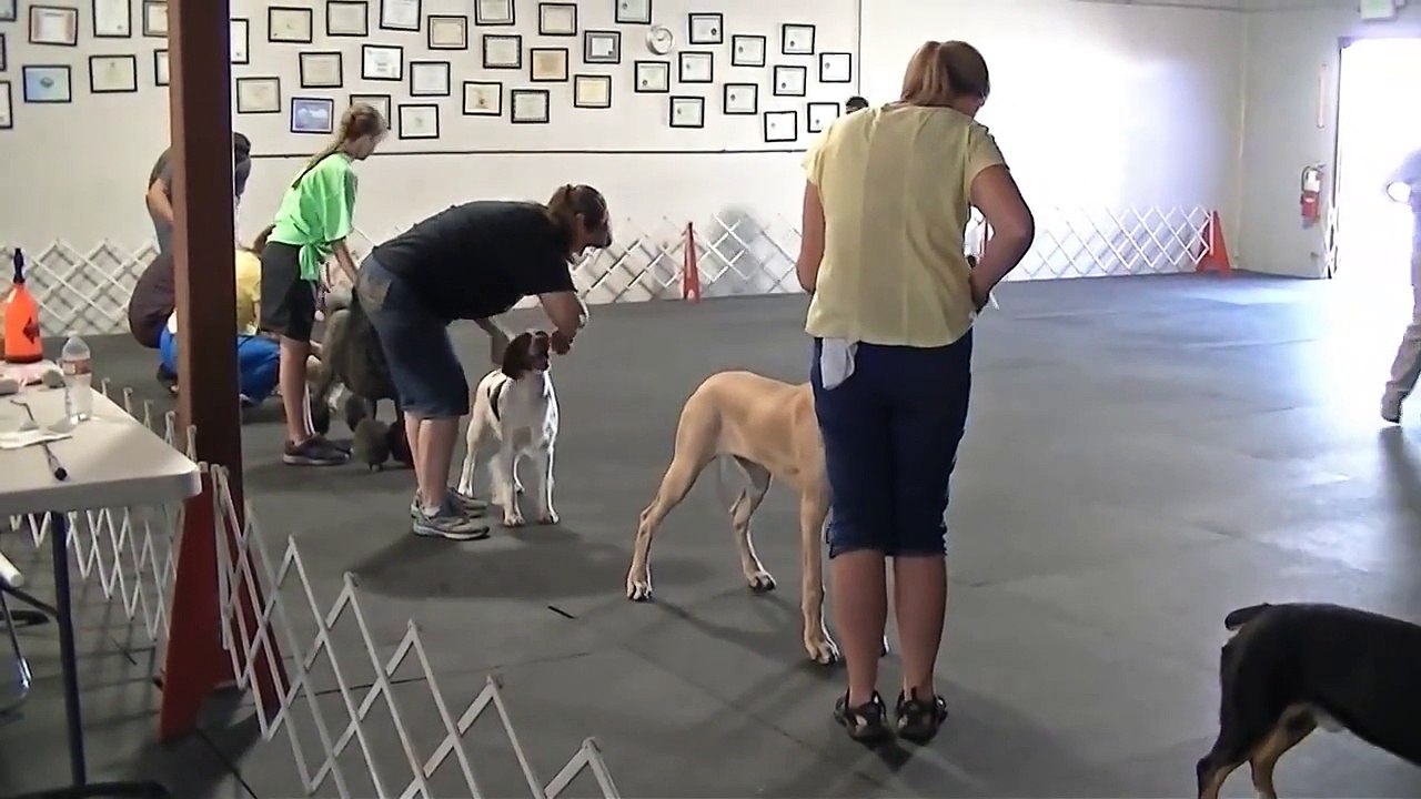 Aria's First handling class