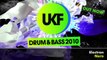 UKF Drum & Bass 2010 (Album Megamix)