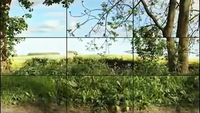 Hockney Wolds 9 Cameras