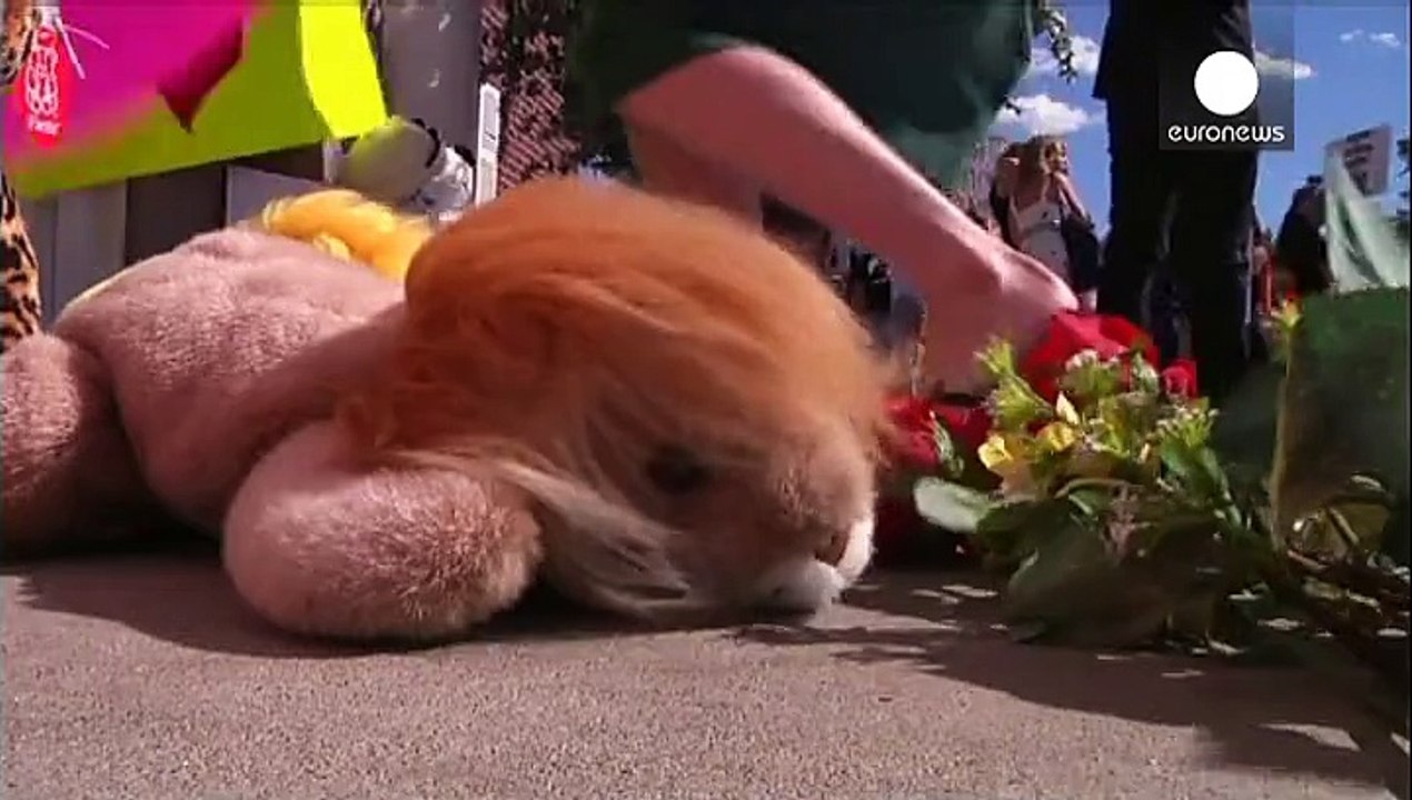 Erlegter Löwe Cecil: Simbabwe will Auslieferung des US-Jägers beantragen