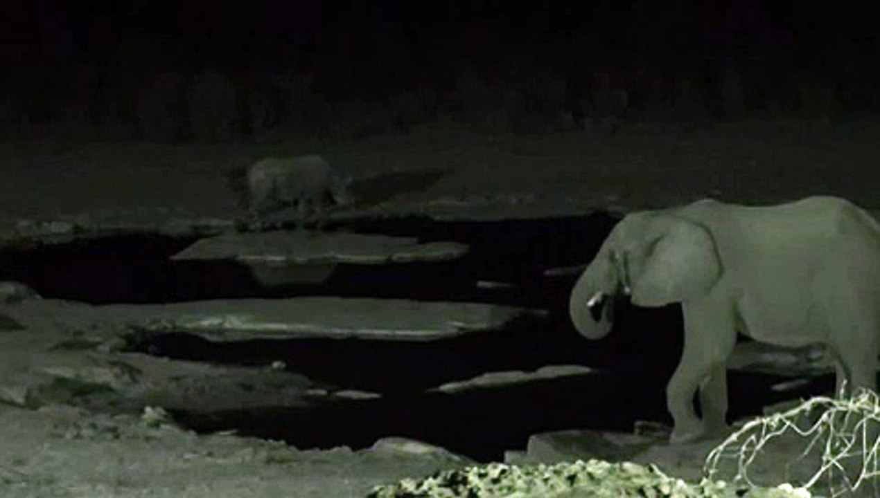 Etosha waterhole in the night (Namibian anthem)