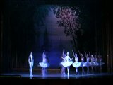 State Ballet Theatre of Russia Presents Swan Lake at The Morris Performing Arts Center