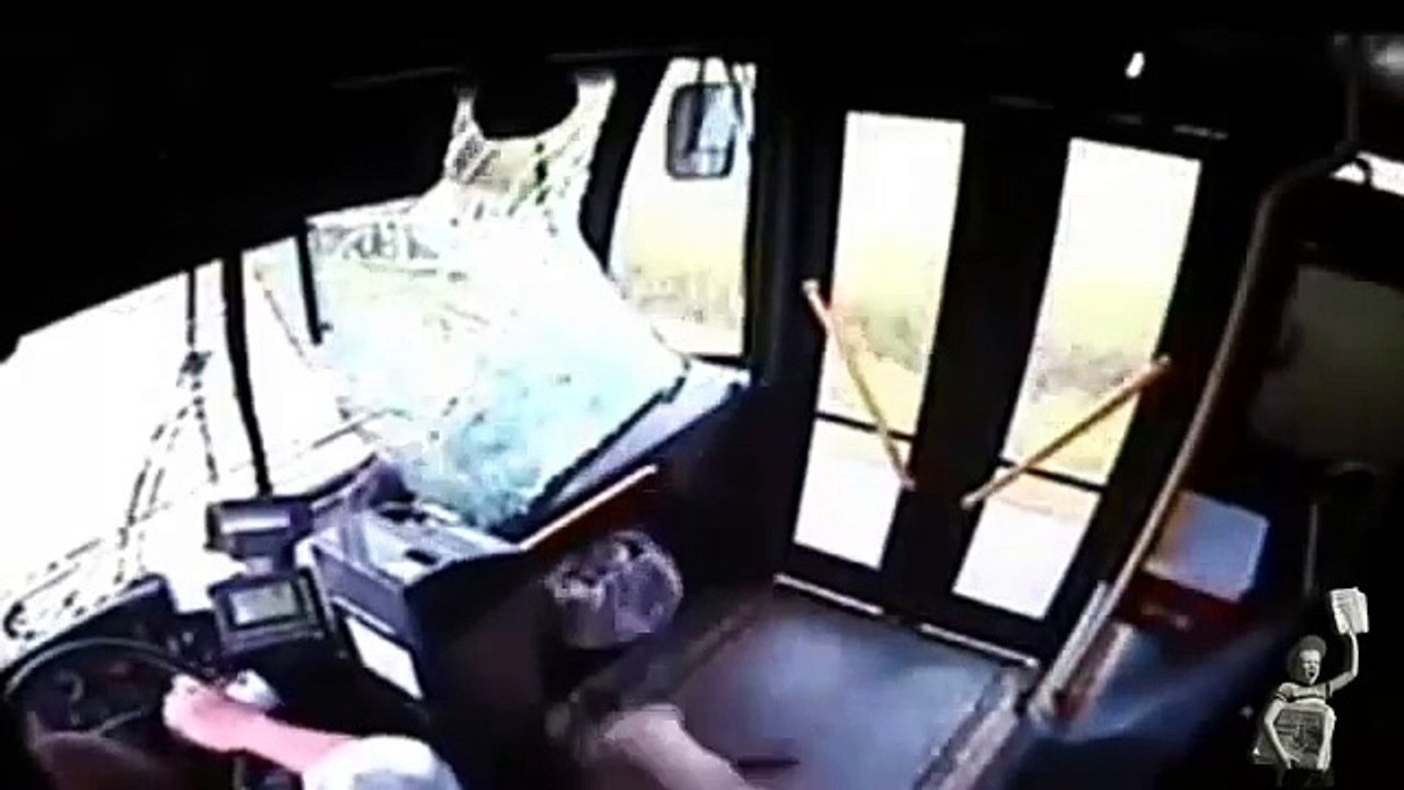 Incredible Video Captures Deer Crashing Through Bus WindshieldCaught on camera