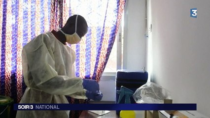 Un vaccin contre la fièvre Ebola se révèle efficace à 100%