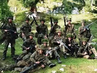 Bundeswehr Gebirgsjäger 231 (german army)