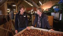 Het Weer: Harma bie de boer [30-7-2015] - RTV Noord