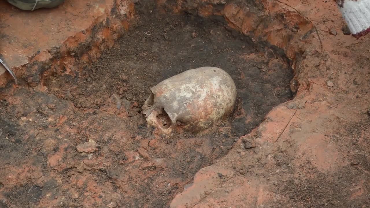 Alien UFO Crash Landing? ‘Conehead’ Skulls in Russia’s Arkaim