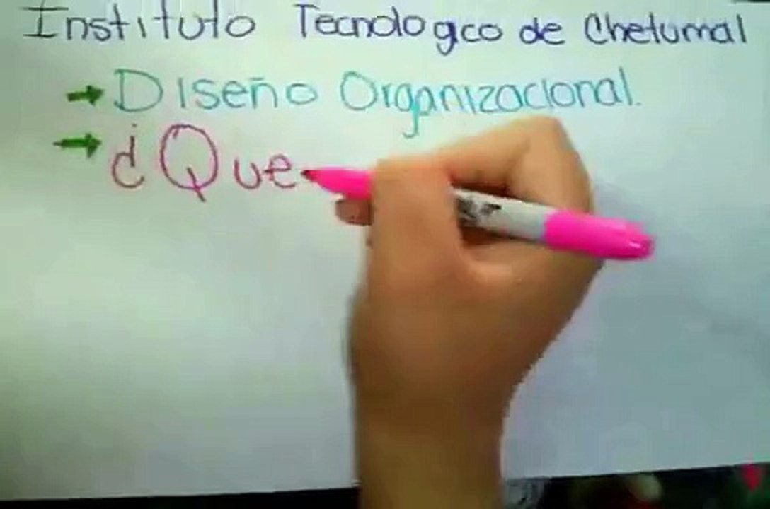 7.-¿Que  es una organización?