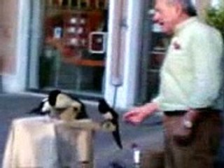 perla, stella e franco