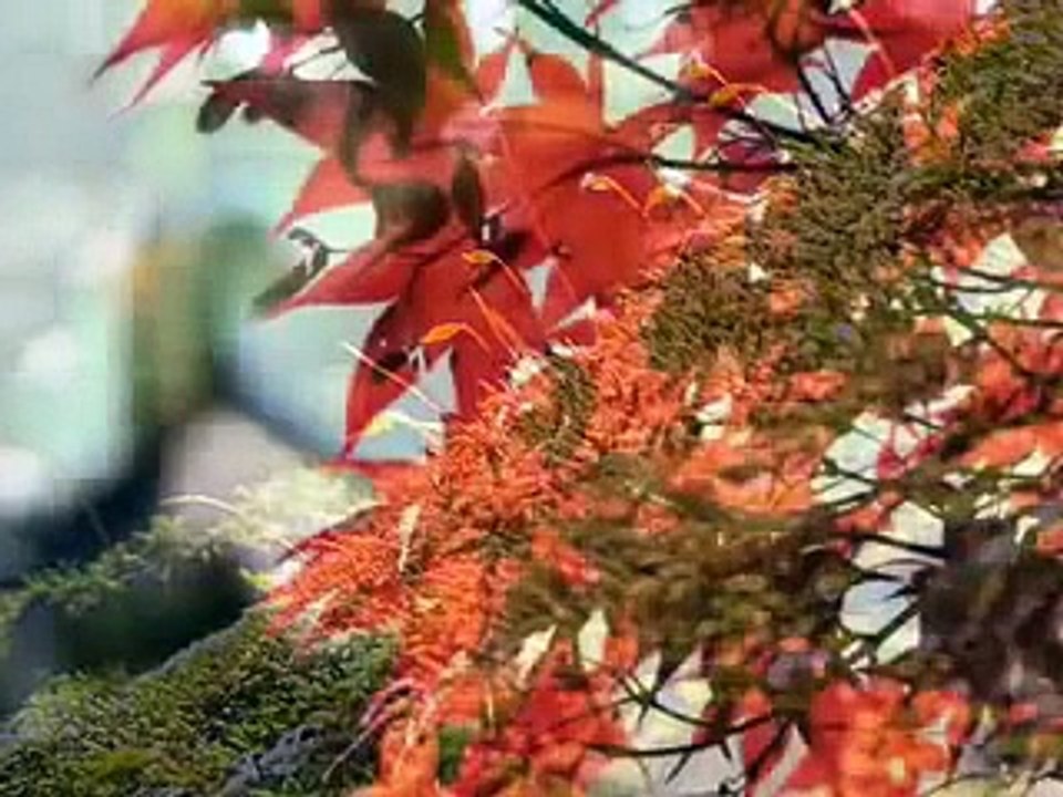 Vocalise (Rachmaninov)