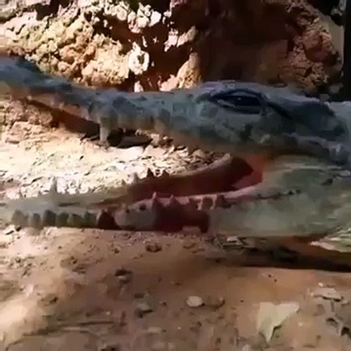 التمساااااااااااااااااااااااااااااااح