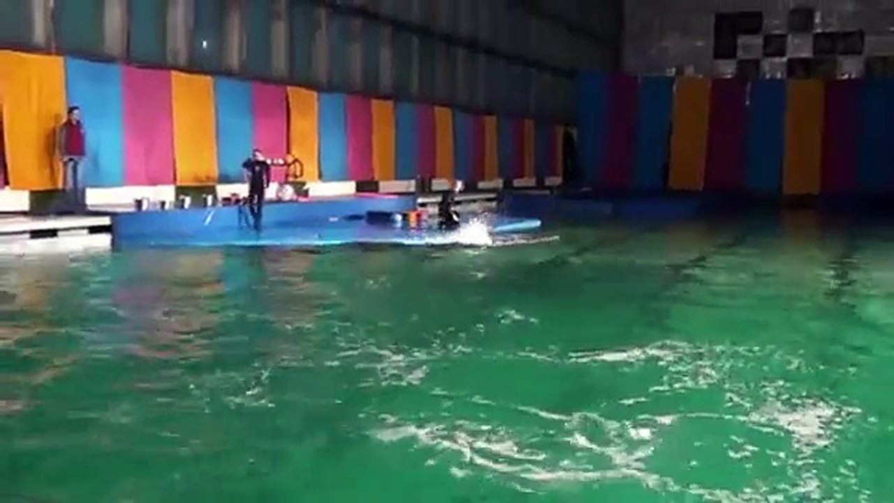 Утришский Дельфинарий