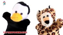 Hickory Dickory Dock - Funny  Penguin & Tiger puppets children rhymes Kids English Learning Songs