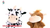 Cattle cow - Hippopotamus puppets children rhymes