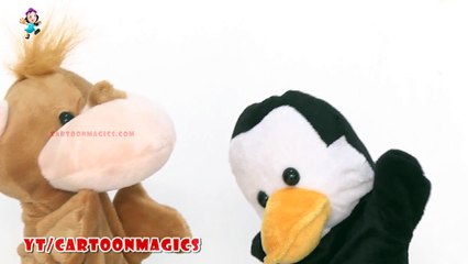 Happy Birthday To You Song - Funny  Hippopotamus and Penguin puppets children rhymes Learning English Kids Songs
